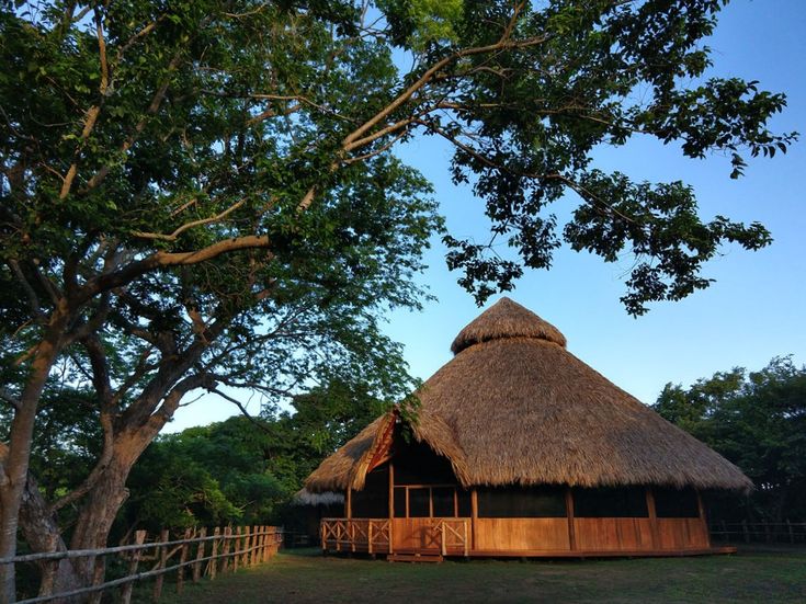 Ayahuasca Plant Medicine Retreats