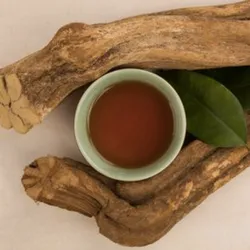 Ayahuasca